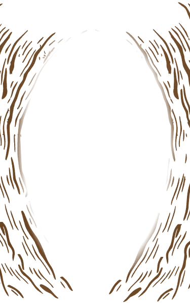 Artists intro background