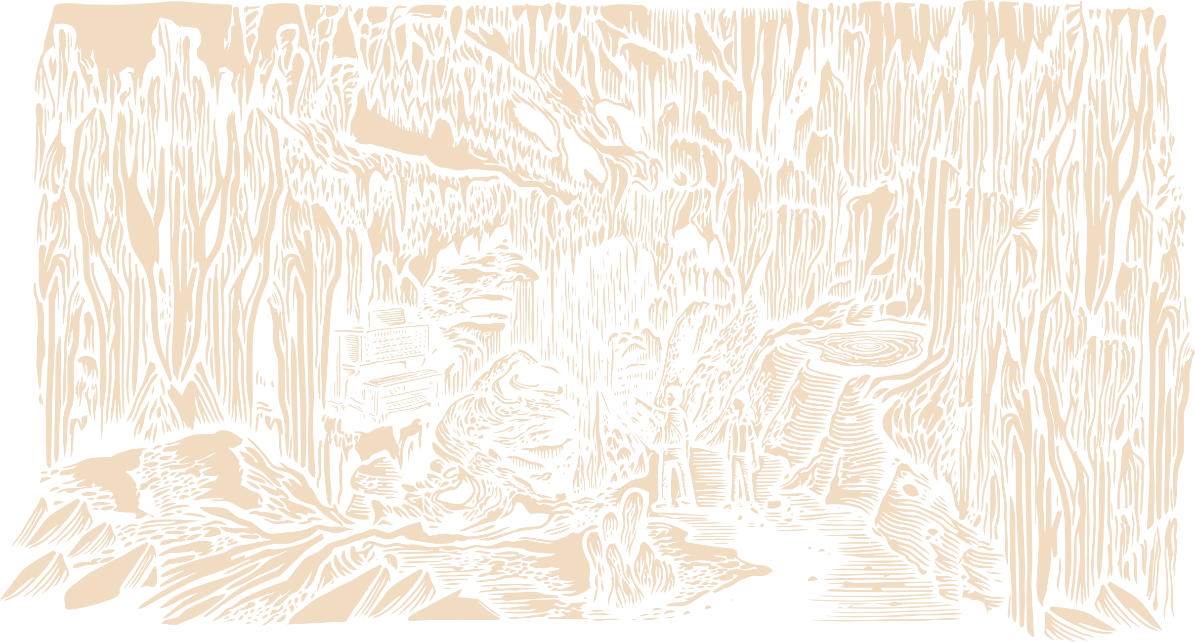 Cave background