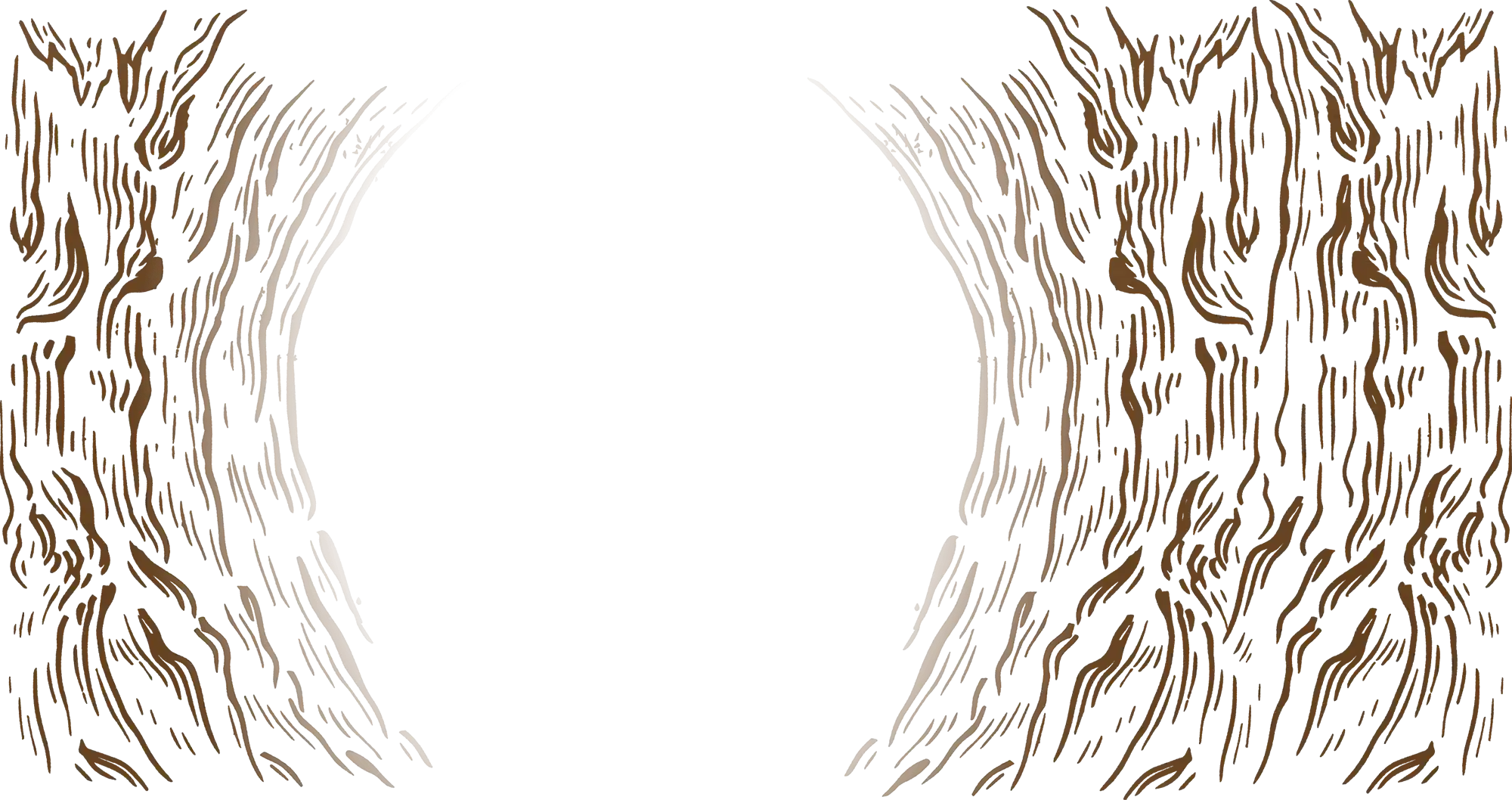 Artists intro background